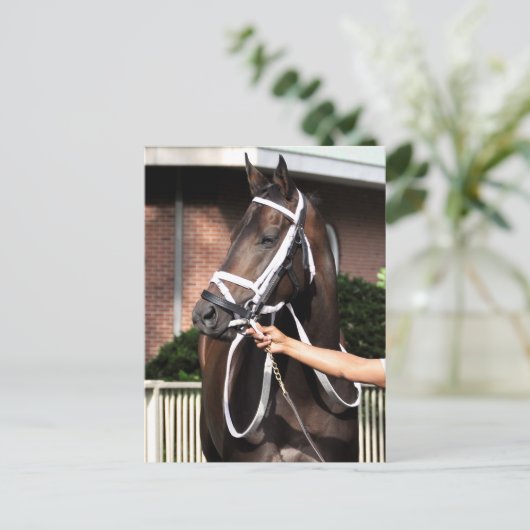 Linda Mimi van Congrats Briefkaart (Staand voorkant)