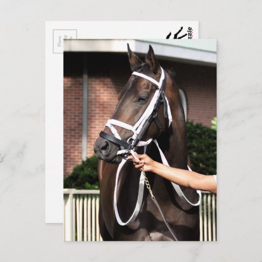 Linda Mimi van Congrats Briefkaart (Voorkant / Achterkant)