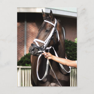 Linda Mimi van Congrats Briefkaart