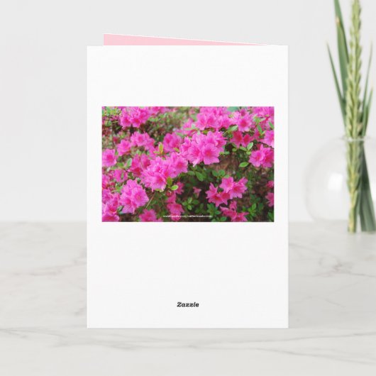 Linda Pink Azalea Happy Birthday Kaart (Achterkant)