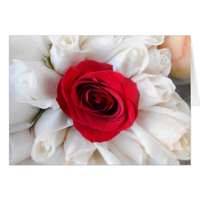 Lindegren (Voorkant Horizontaal)