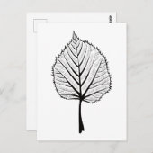Linden Leaf Outline Art - Botanische kleuren Briefkaart (Voorkant / Achterkant)