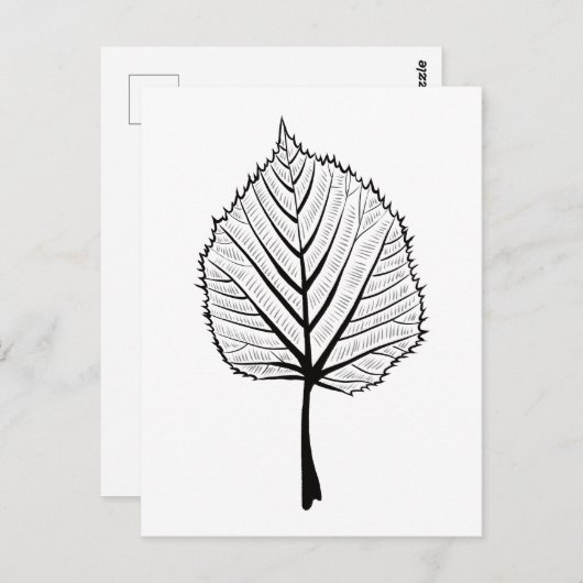 Linden Leaf Outline Art - Botanische kleuren Briefkaart (Voorkant / Achterkant)