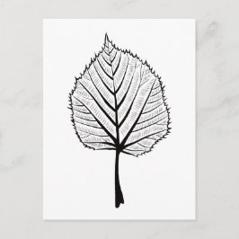 Linden Leaf Outline Art - Botanische kleuren Briefkaart
