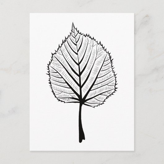 Linden Leaf Outline Art - Botanische kleuren Briefkaart (Voorkant)