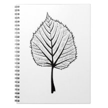 Linden Leaf Outline Art - Botanische kleuren