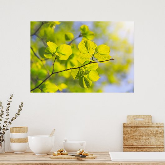 Linden Leaves Poster (Keuken)