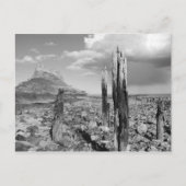 Lindisfarne Castle Briefkaart (Voorkant)