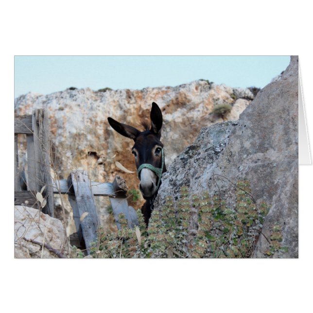 Lindos Donkey (Voorkant Horizontaal)