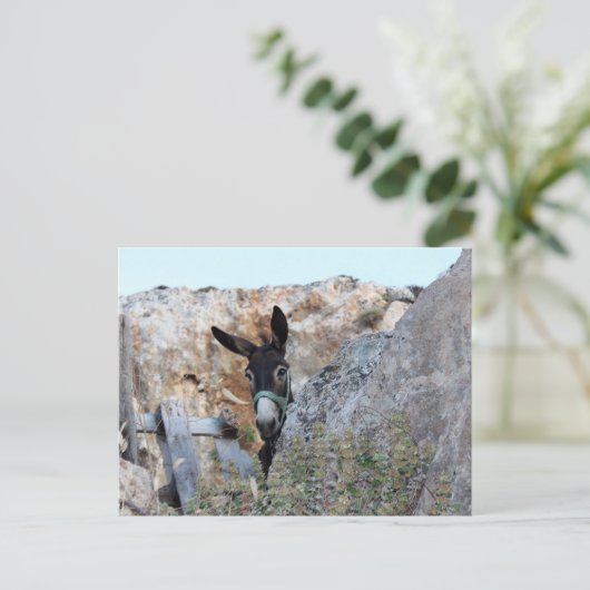 Lindos Donkey Briefkaart (Staand voorkant)
