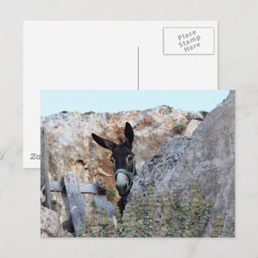 Lindos Donkey Briefkaart (Voorkant / Achterkant)