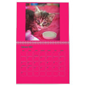 Lindsay's Foster Kitten Calendar uit 2017 Kalender (Feb 2027)