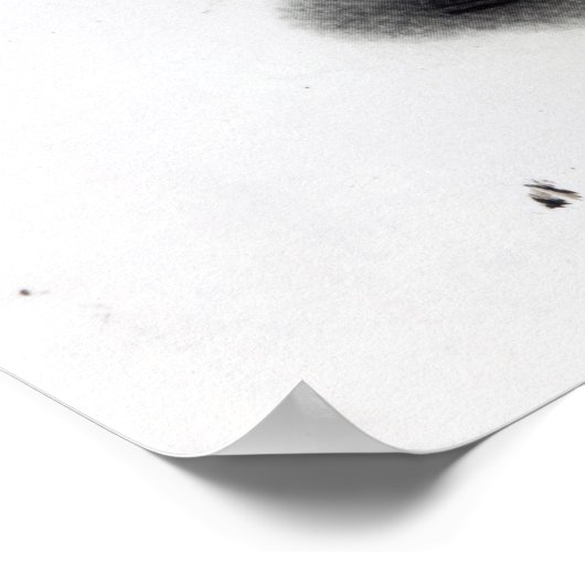 Lindstrom met Buckwheat Cakes Poster (Hoek)