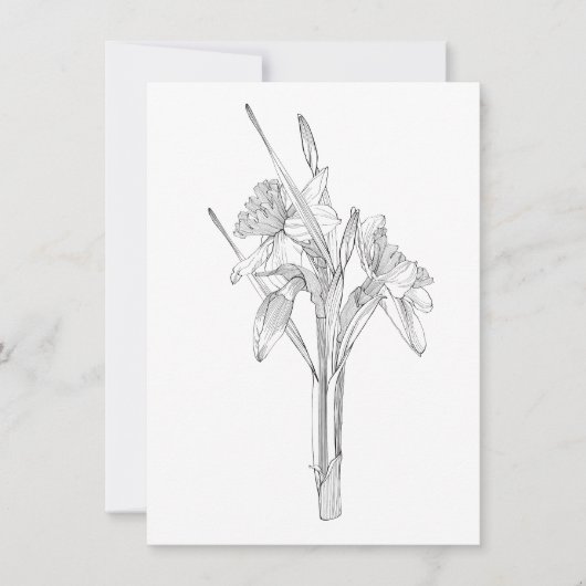Line sketch narcissen boeket. aankondiging (Voorkant)
