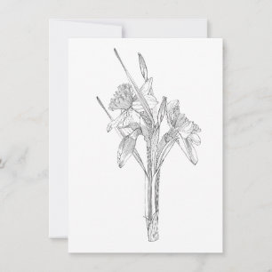 Line sketch narcissen boeket. aankondiging