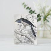 Lineaire  vogelillustratie Cuckoo Briefkaart (Staand voorkant)