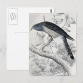 Lineaire  vogelillustratie Cuckoo Briefkaart (Voorkant / Achterkant)