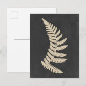 Linen Fern Briefkaart (Voorkant / Achterkant)