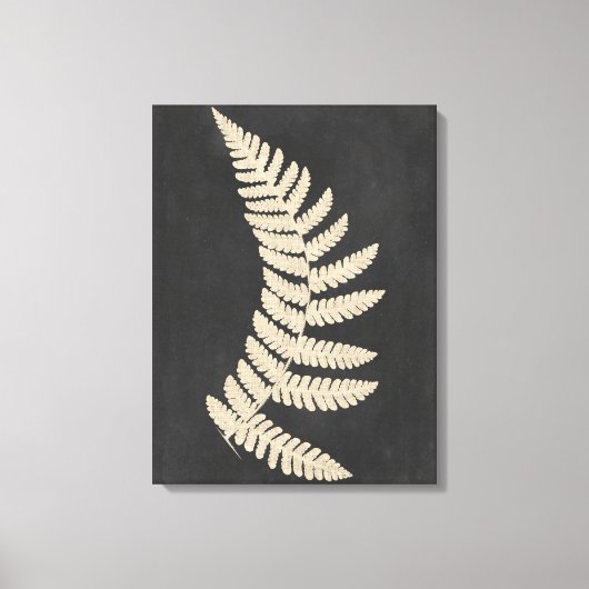 Linen Fern Canvas Afdruk (Voorkant)