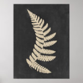 Linen Fern Poster (Voorkant)