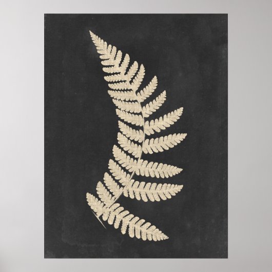 Linen Fern Poster (Voorkant)