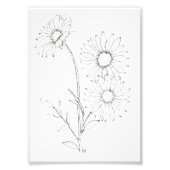 Lines & Petals Foto Afdruk (Voorkant)