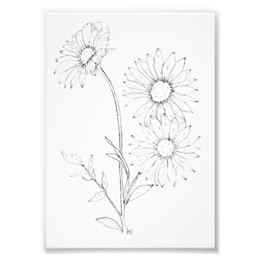 Lines & Petals Foto Afdruk (Voorkant)