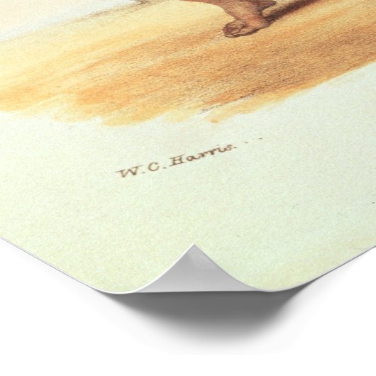 Lingap, een Matabili Warrior Poster (Hoek)