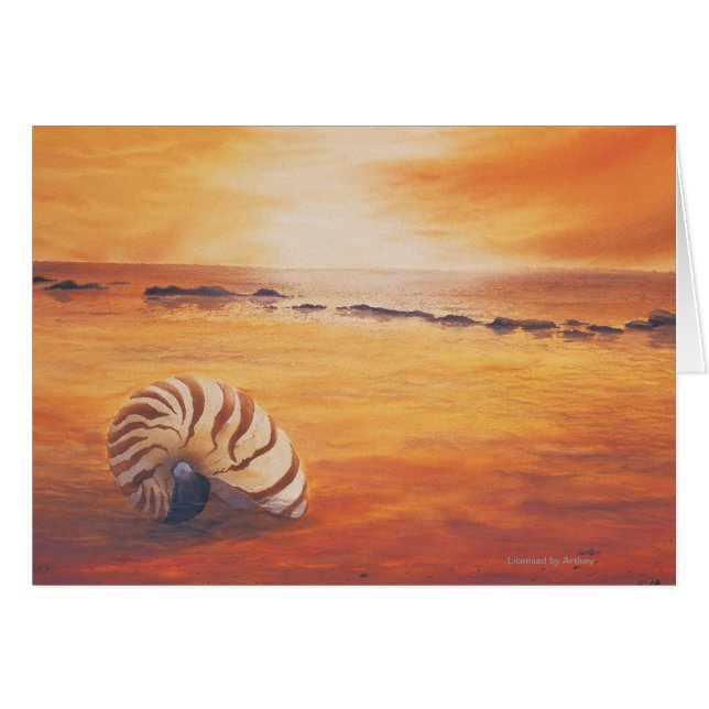 Lingering (Voorkant Horizontaal)