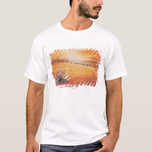 Lingering T-shirt