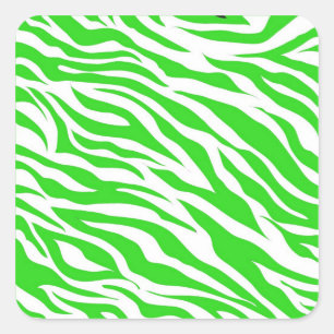 Linggroene witte zebrastripes Vaste dierlijke afdr Vierkante Sticker