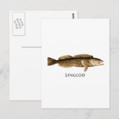 Lingkabeljauw Logo Briefkaart (Voorkant / Achterkant)