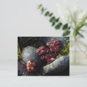 Lingonberry Leaves - Autumn Colors, Unalaska Islan Briefkaart (Staand voorkant)