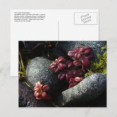Lingonberry Leaves - Autumn Colors, Unalaska Islan Briefkaart (Voorkant / Achterkant)
