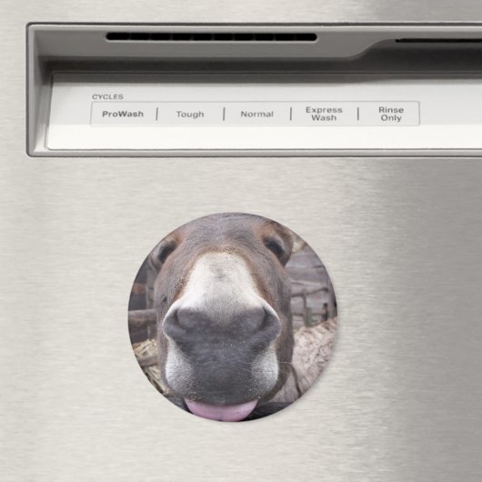 Linha Animal - Arre burriquito Magneet (Insitu (Vaatwasser))