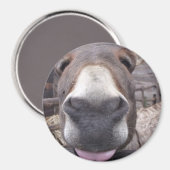 Linha Animal - Arre burriquito Magneet (Voorkant / Achterkant)