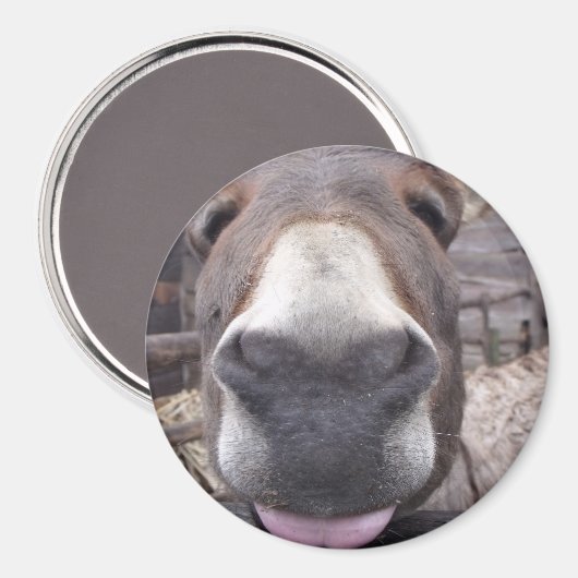 Linha Animal - Arre burriquito Magneet (Voorkant / Achterkant)