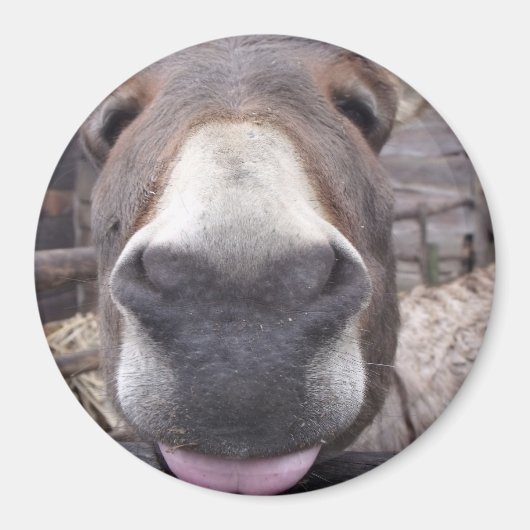 Linha Animal - Arre burriquito Magneet (Voorkant)