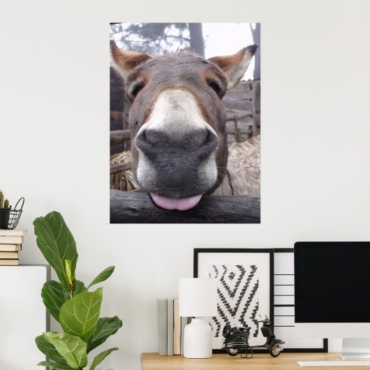 Linha Animal - Arre burriquito Poster (Thuiskantoor)