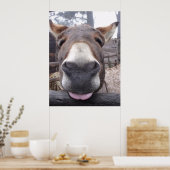 Linha Animal - Arre burriquito Poster (Keuken)