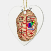 Linker- en rechterkant van het brein keramisch ornament (Links)