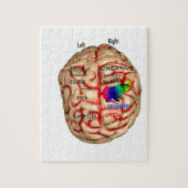 Linker- en rechterkant van het brein legpuzzel (Verticaal)