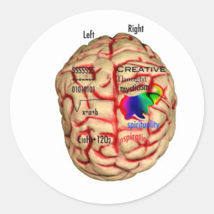 Linker- en Risht Side of Brain Ronde Sticker