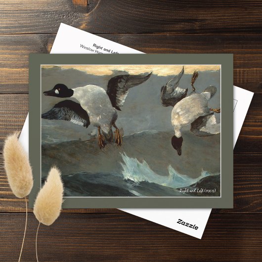 Linker-ganzenwinslow Homer Briefkaart