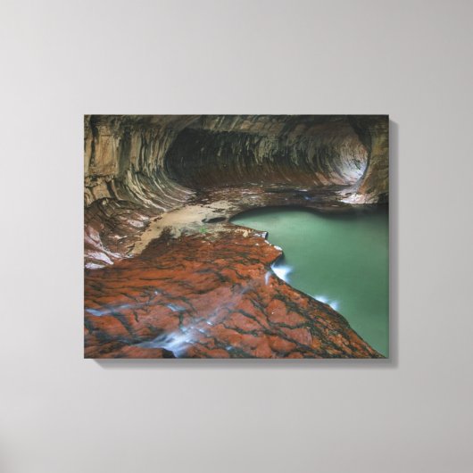 Linker Vork | Zion National Park, Utah Canvas Afdruk (Voorkant)