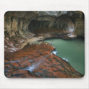 Linker Vork   Zion National Park, Utah Muismat