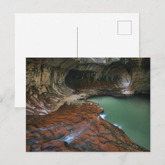 Linkervork | Nationaal Park Zion, Utah Briefkaart (Voorkant / Achterkant)
