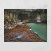 Linkervork | Nationaal Park Zion, Utah Briefkaart (Voorkant)