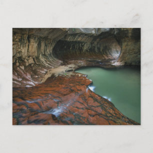 Linkervork Nationaal Park Zion, Utah Briefkaart