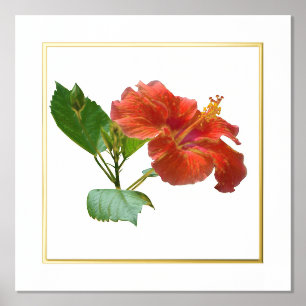 Linkerzijde Folie Accent Red Hibiscus Flower Print